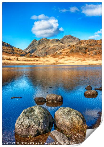 Langdale Pikes from Blea Tarn Print by Trevor Camp