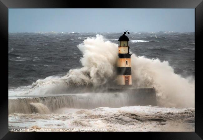 High Seas at Seaham Framed Print by Ray Pritchard