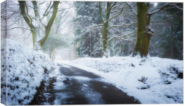 Snowy lane, South Wales Canvas Print by Richard Downs