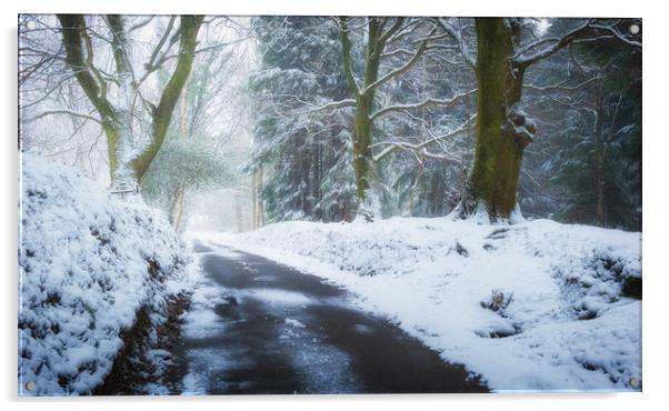Snowy lane, South Wales Acrylic by Richard Downs