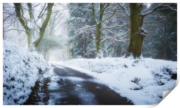Snowy lane, South Wales Print by Richard Downs