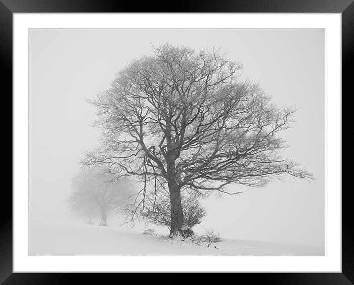 Misty trees Framed Mounted Print by Pete Hemington