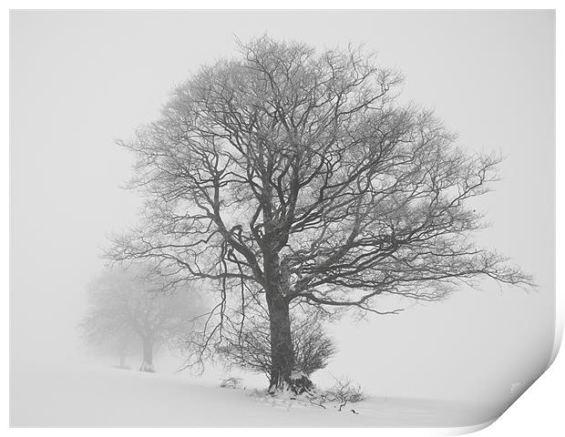 Misty trees Print by Pete Hemington