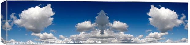 Sky panoramic Canvas Print by steve ball
