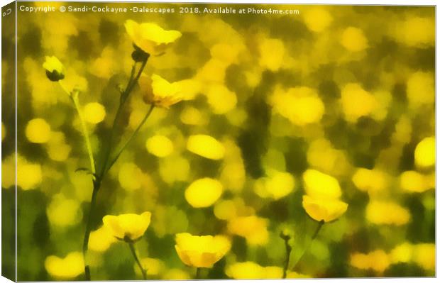 Painterly Buttercups Canvas Print by Sandi-Cockayne ADPS