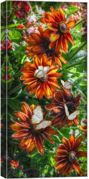 flowers and butterflies Canvas Print by sue davies