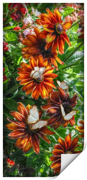flowers and butterflies Print by sue davies