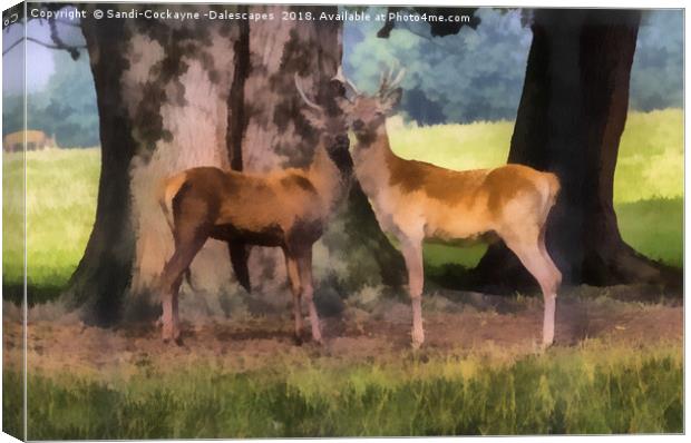 Buck Deer Painterly Canvas Print by Sandi-Cockayne ADPS