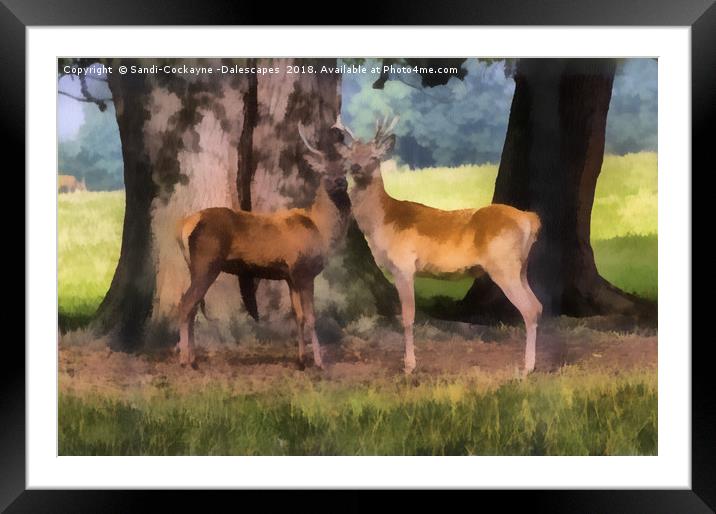 Buck Deer Painterly Framed Mounted Print by Sandi-Cockayne ADPS