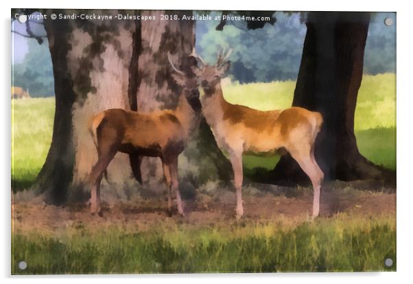 Buck Deer Painterly Acrylic by Sandi-Cockayne ADPS