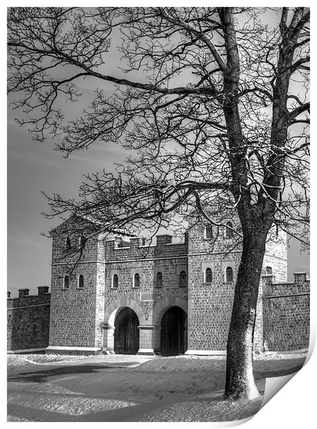 Arbeia Roman Fort Print by Ray Pritchard