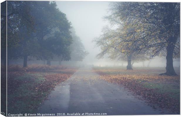 A Misty Morning Canvas Print by Kevin Mcguinness