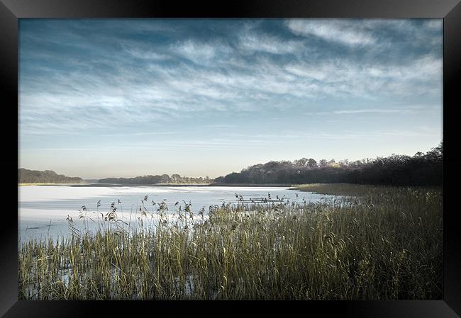Ormesby Broad under snow and ice Framed Print by Stephen Mole