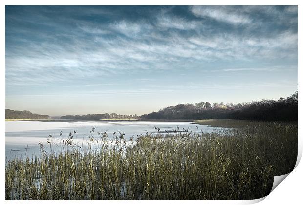 Ormesby Broad under snow and ice Print by Stephen Mole