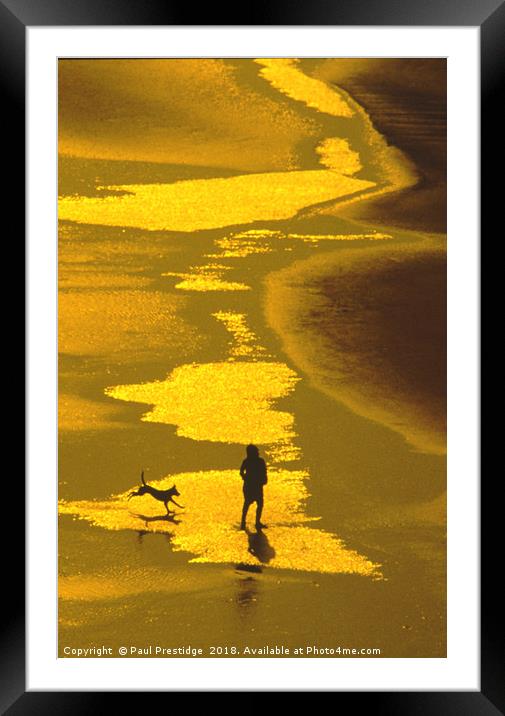 Dog on the Beach Framed Mounted Print by Paul F Prestidge