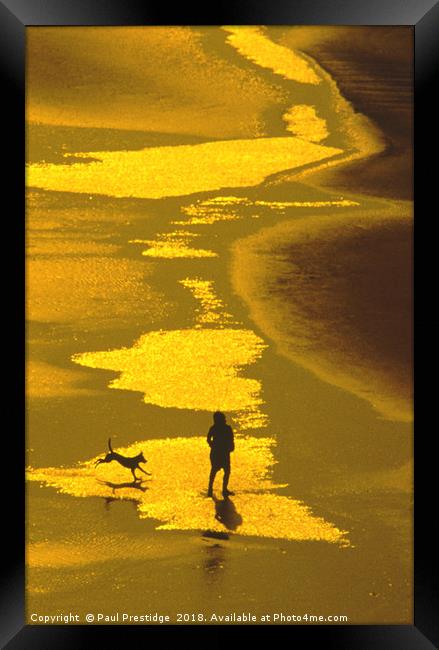 Dog on the Beach Framed Print by Paul F Prestidge