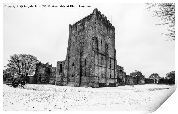 Portchester Castle. Print by Angela Aird