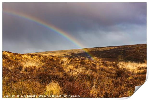 Dartmoor Rainbow 1 Print by Frank Etchells