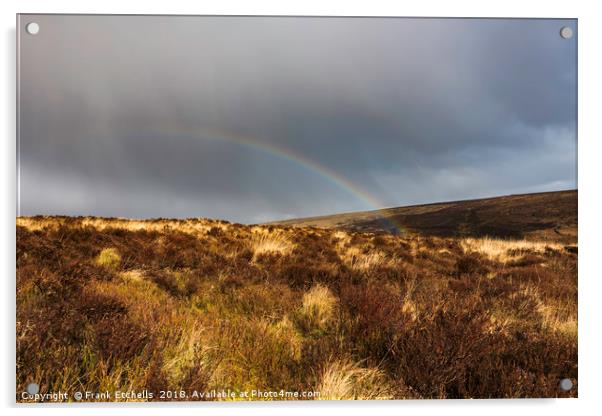 Dartmoor Rainbow 2 Acrylic by Frank Etchells