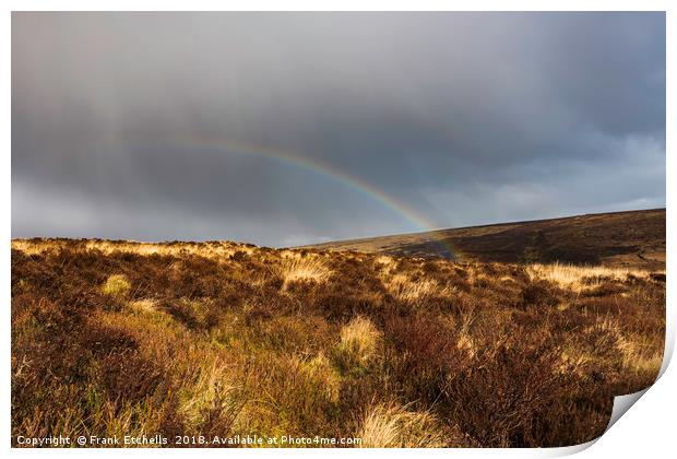Dartmoor Rainbow 2 Print by Frank Etchells