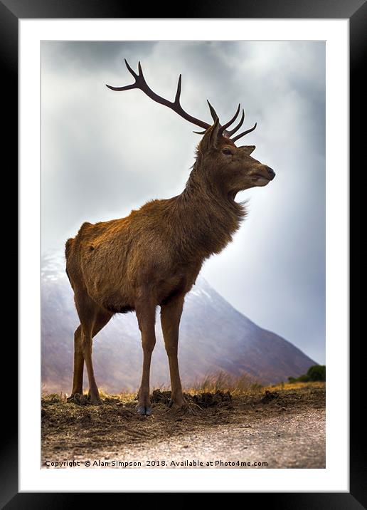 Glen Etive Stag Framed Mounted Print by Alan Simpson