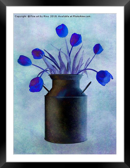 Blue Tulips Framed Mounted Print by Fine art by Rina