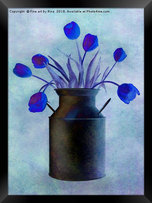 Blue Tulips Framed Print by Fine art by Rina