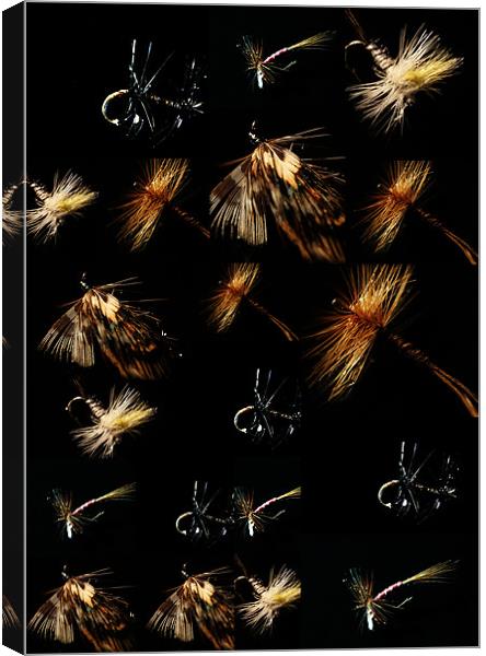 Colage of flies Canvas Print by Doug McRae