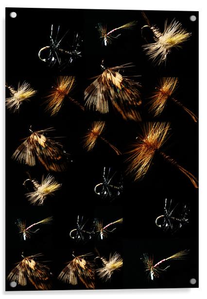 Colage of flies Acrylic by Doug McRae