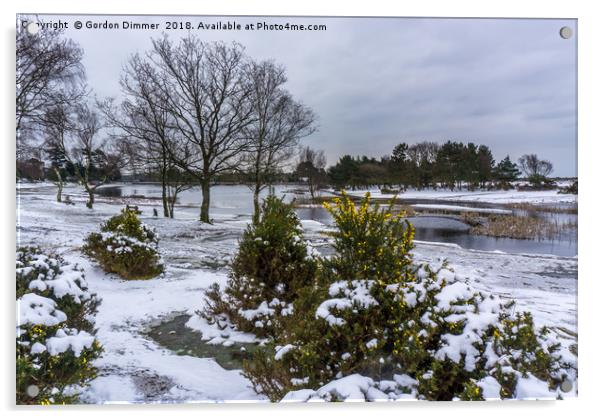 An alternative view of Hatchet Pond in the snow Acrylic by Gordon Dimmer