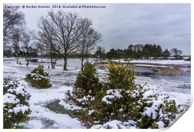 An alternative view of Hatchet Pond in the snow Print by Gordon Dimmer