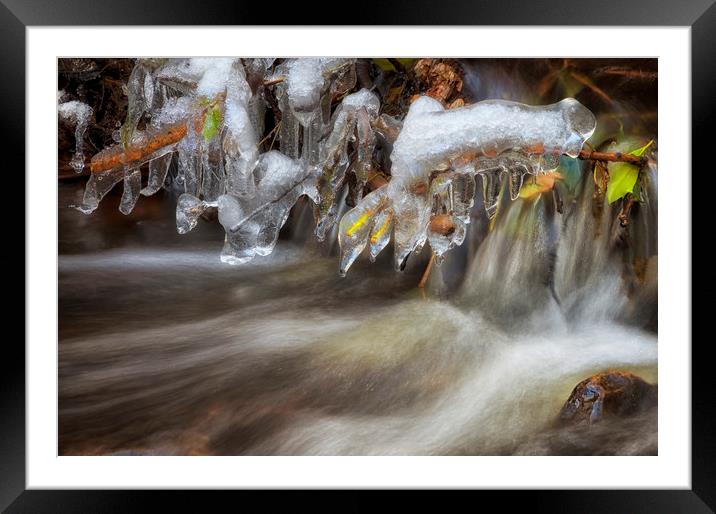 Icicles in a stream Framed Mounted Print by Leighton Collins