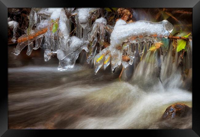 Icicles in a stream Framed Print by Leighton Collins