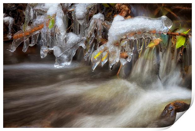 Icicles in a stream Print by Leighton Collins