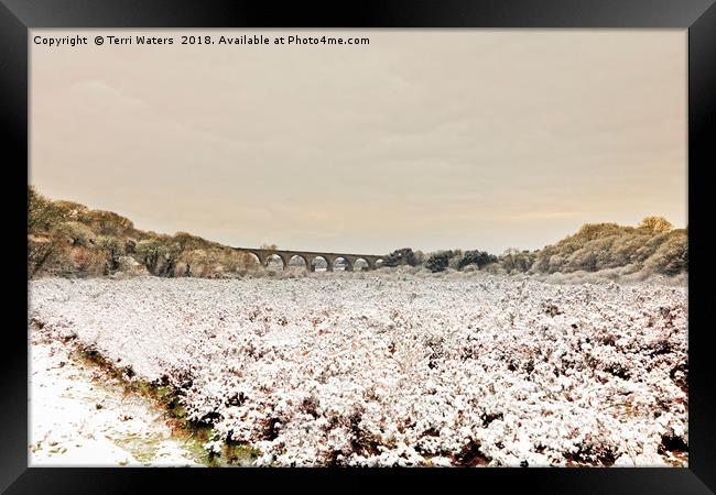 Carnon Valley in Winter Framed Print by Terri Waters