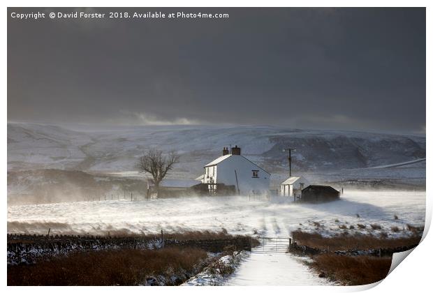 Dales Farm With Wind Blown Snow  Print by David Forster