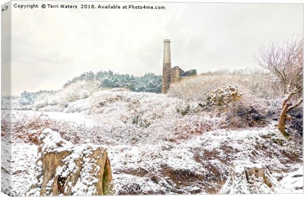 Ale and Cake Mine in the Snow Canvas Print by Terri Waters