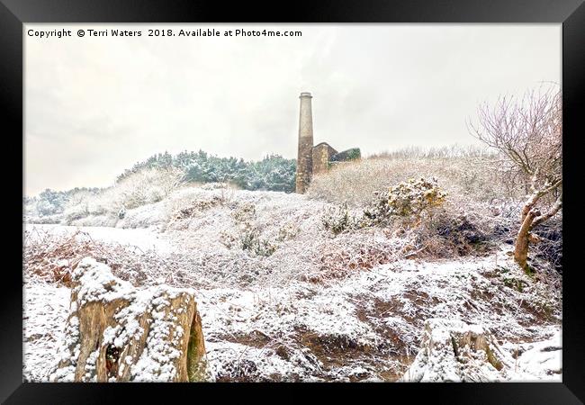 Ale and Cake Mine in the Snow Framed Print by Terri Waters