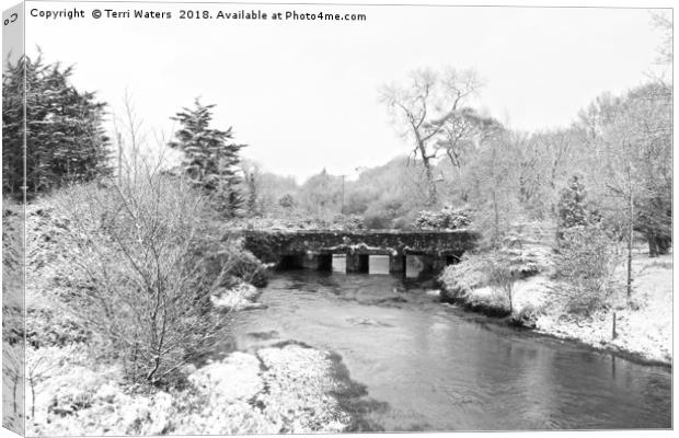 Old Carnon Bridge in the Snow Canvas Print by Terri Waters