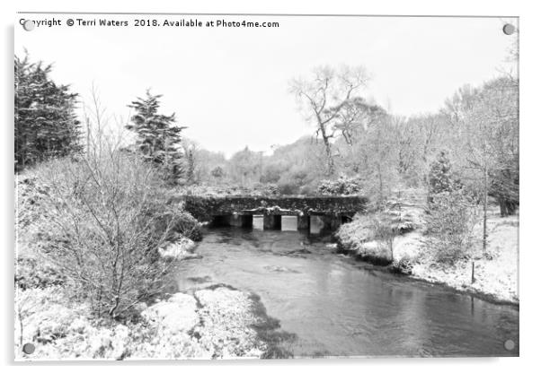 Old Carnon Bridge in the Snow Acrylic by Terri Waters