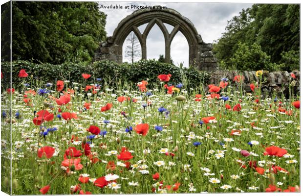 Wild Flower Garden, , Middleton-in-Teesdale Canvas Print by David Forster