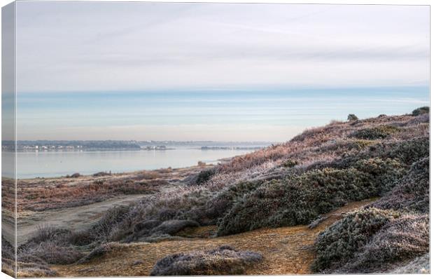 Towards Mudeford Canvas Print by Chris Day