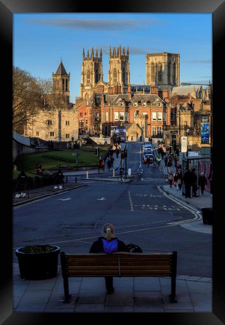 Bench with a view, York Minster, Yorkshire England Framed Print by John Hall