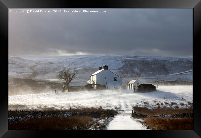 Remote Farm With Wind Blown Snow  Framed Print by David Forster