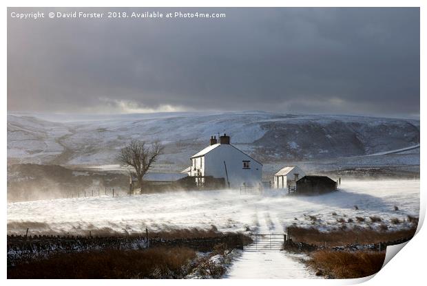 Remote Farm With Wind Blown Snow  Print by David Forster