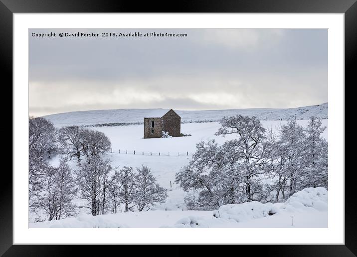 Traditional Dales Barn in Snow, Upper Teesdale,  Framed Mounted Print by David Forster