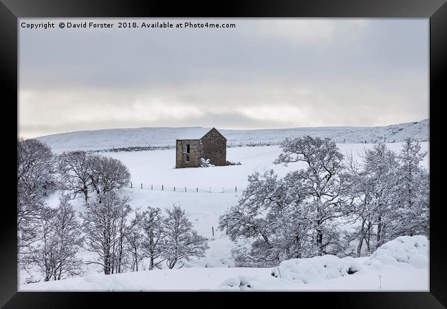 Traditional Dales Barn in Snow, Upper Teesdale,  Framed Print by David Forster