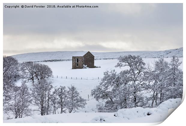 Traditional Dales Barn in Snow, Upper Teesdale,  Print by David Forster