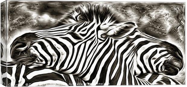 A Tale of Two Zebras Canvas Print by David Mccandlish