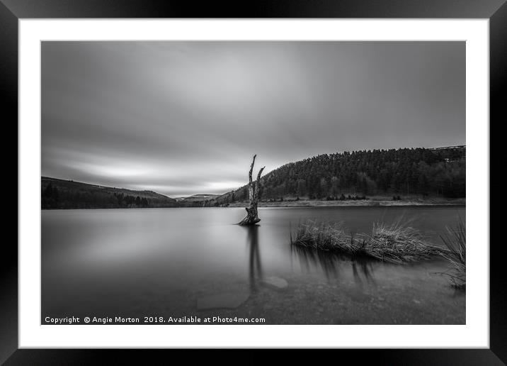 Derwent Reservoir in Mono Framed Mounted Print by Angie Morton